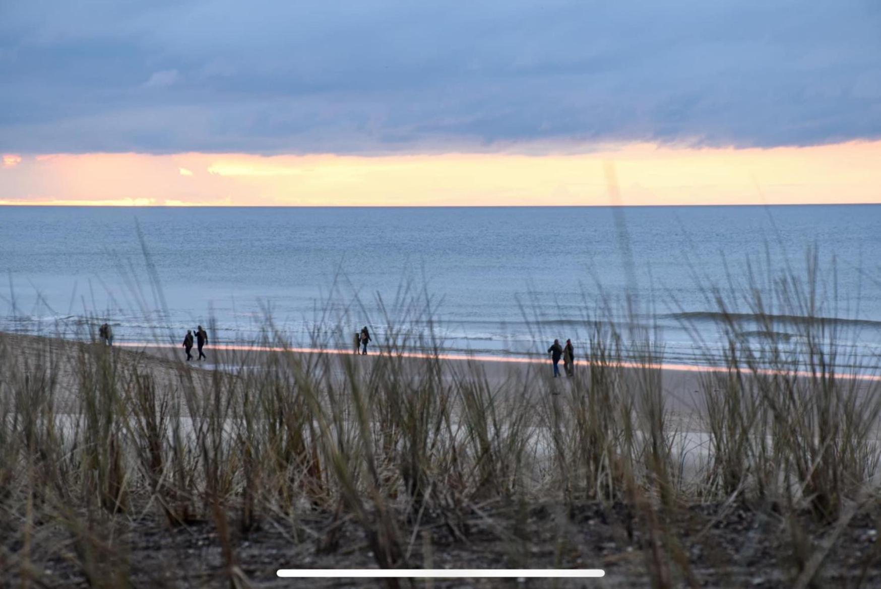 Cintra Apartment Middelkerke Bagian luar foto